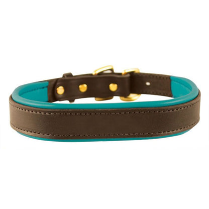 Perris Padded Leather Dog Collar
