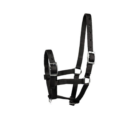 HorZe Spirit Foal Halter Full Blue