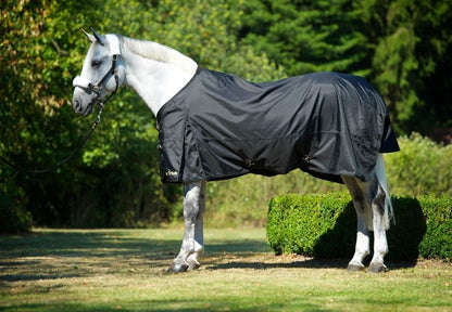 Back on Track Therapeutic Turnout Sheet
