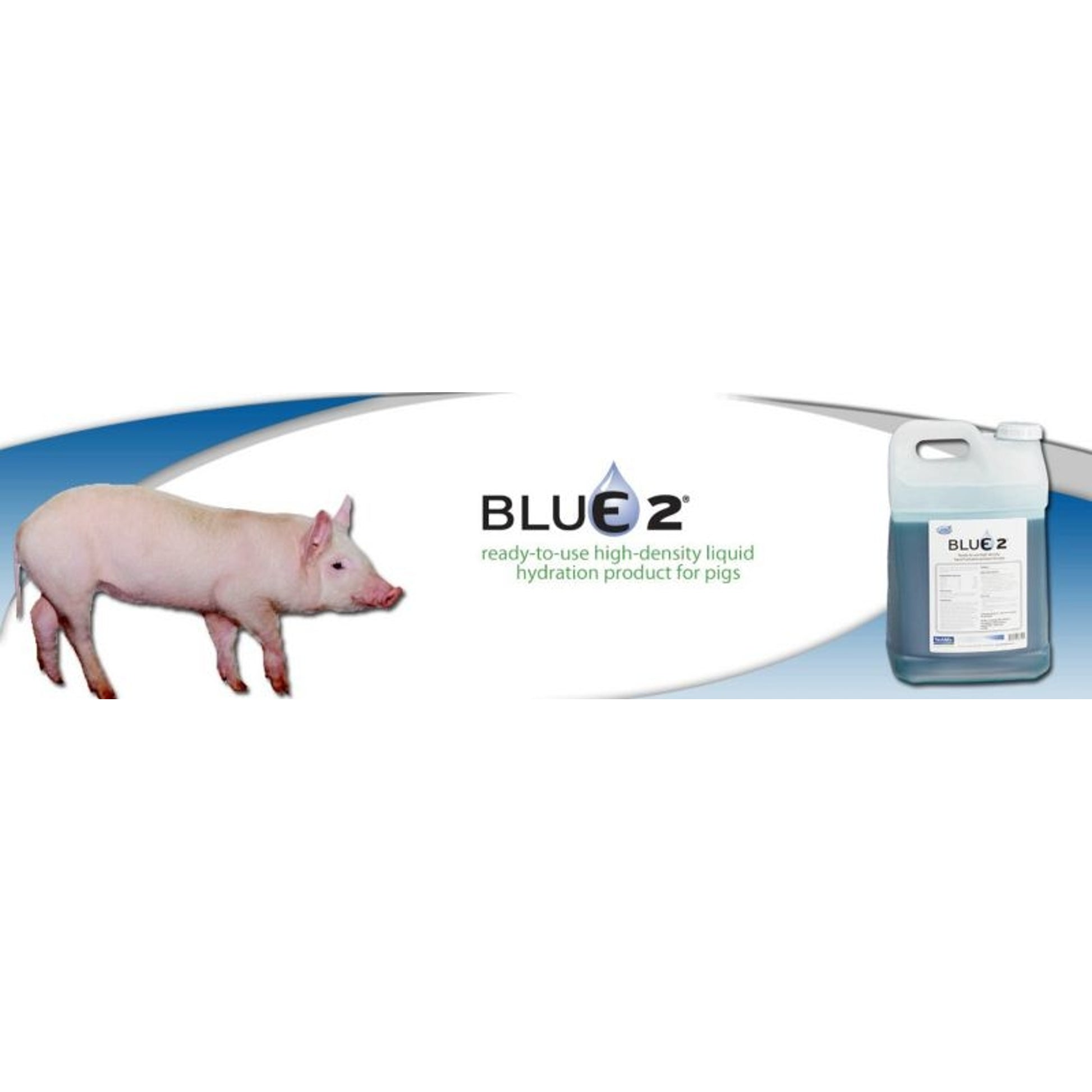 Blue 2 Liquid 2.5 Gal