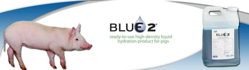 Blue 2 Liquid 2.5 Gal