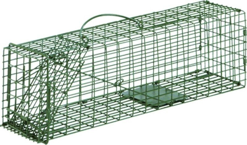 Small Animal Cages