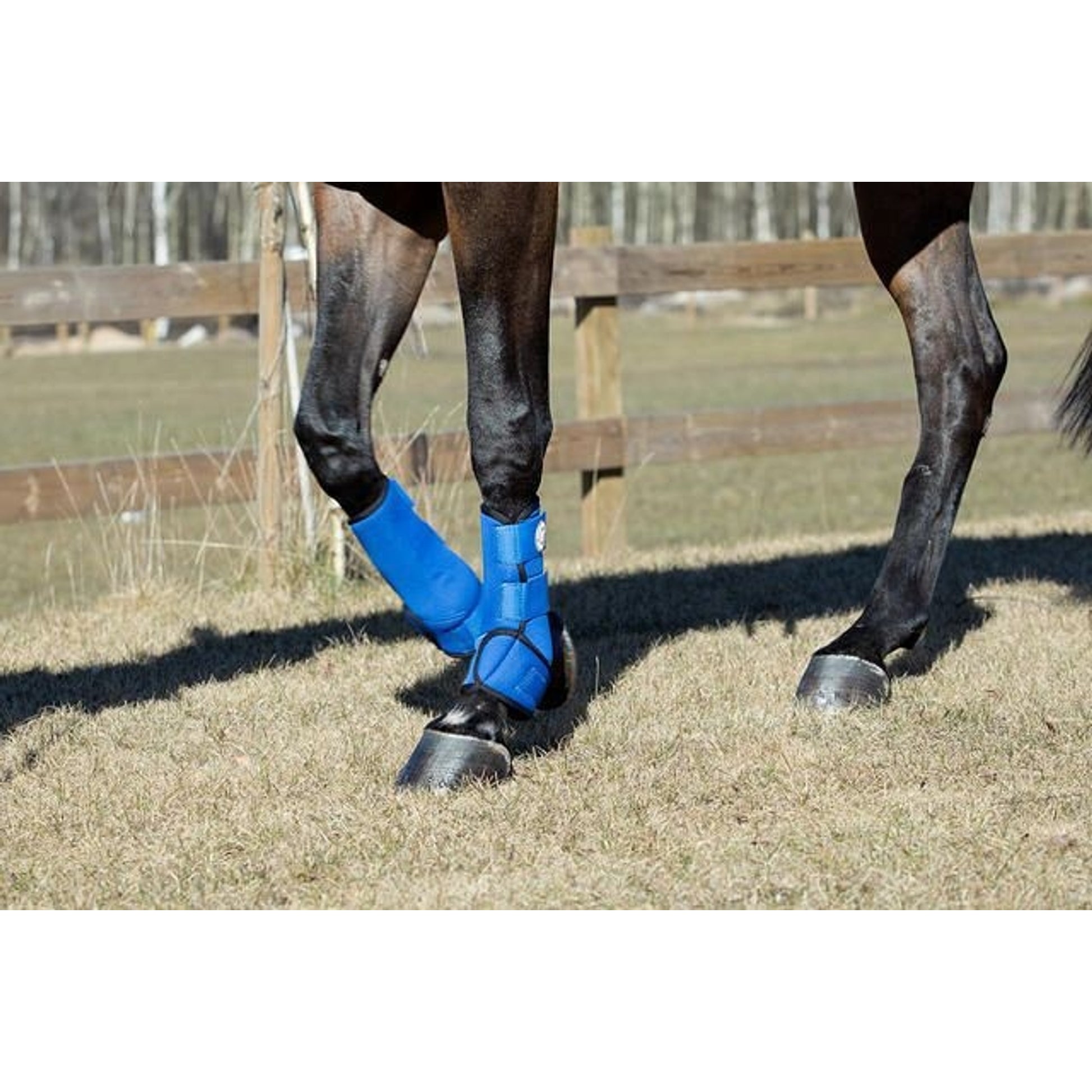 Horze Supreme Brushing Boots Small Blue