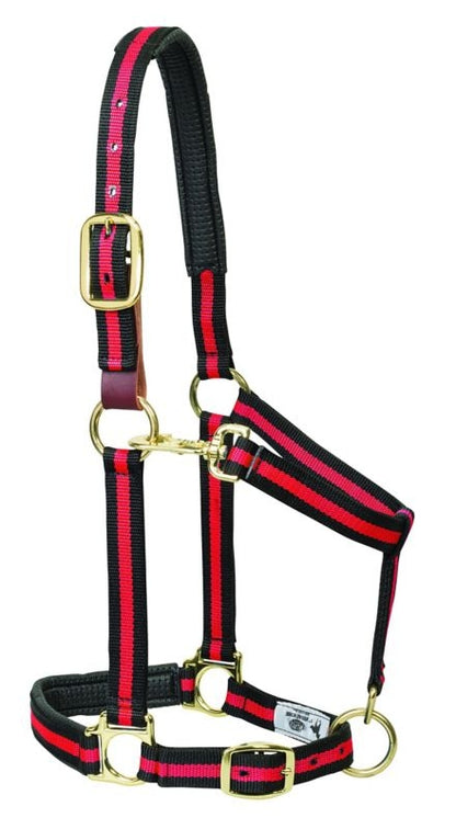 Weaver Striped Padded Breakaway Halter
