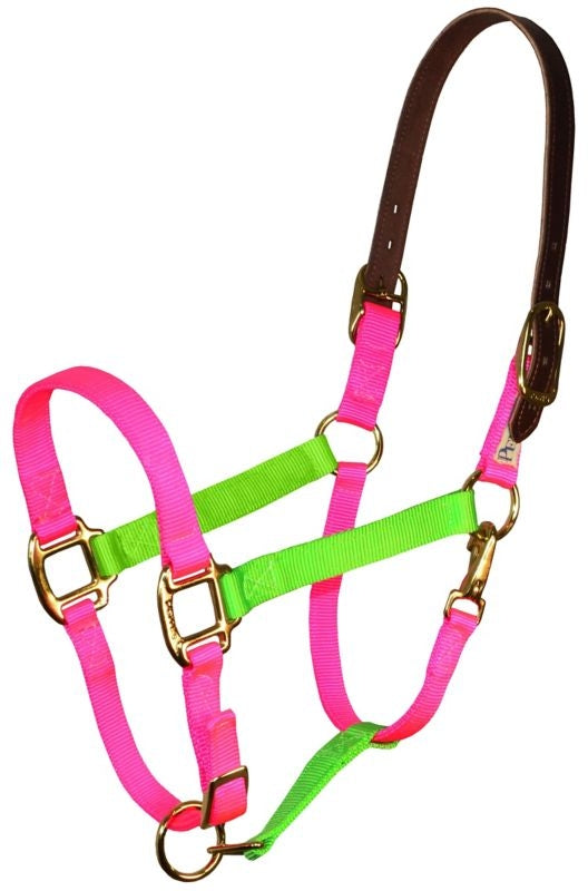 Perri's Color Vision Halter