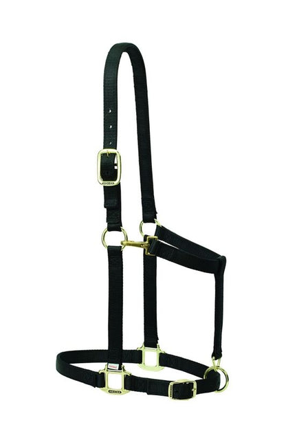 Weaver Nylon 1in Adjust Draft Halter