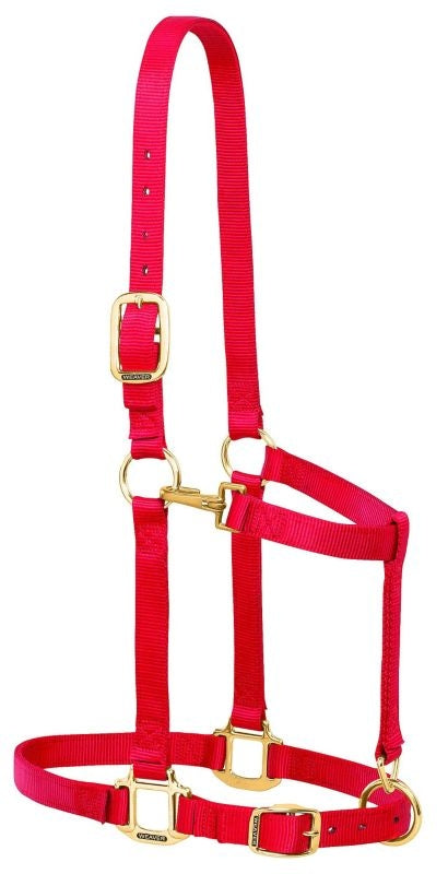 Weaver Nylon 1in Adjust Draft Halter