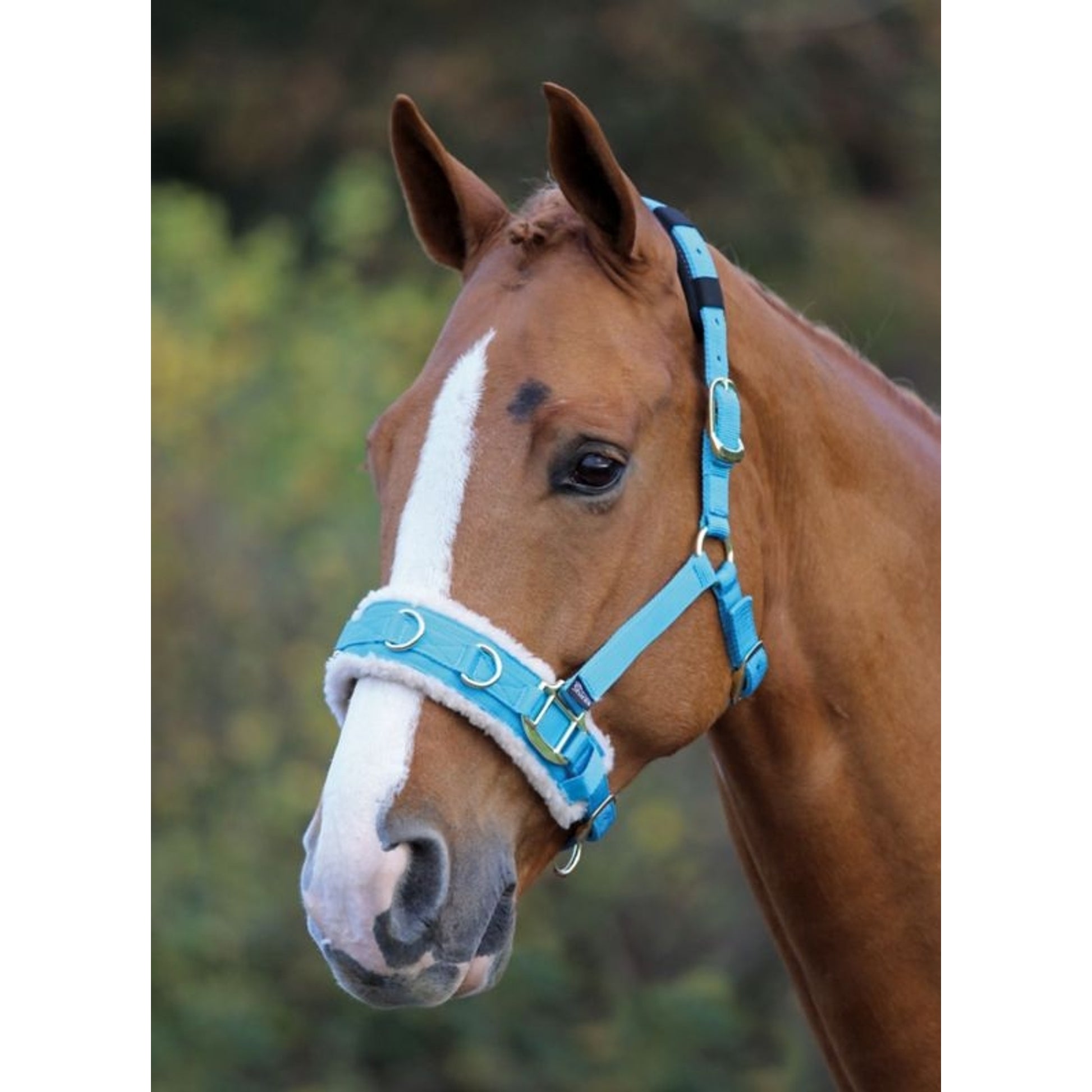 Shires Fleece Lined Lunge Cavesson