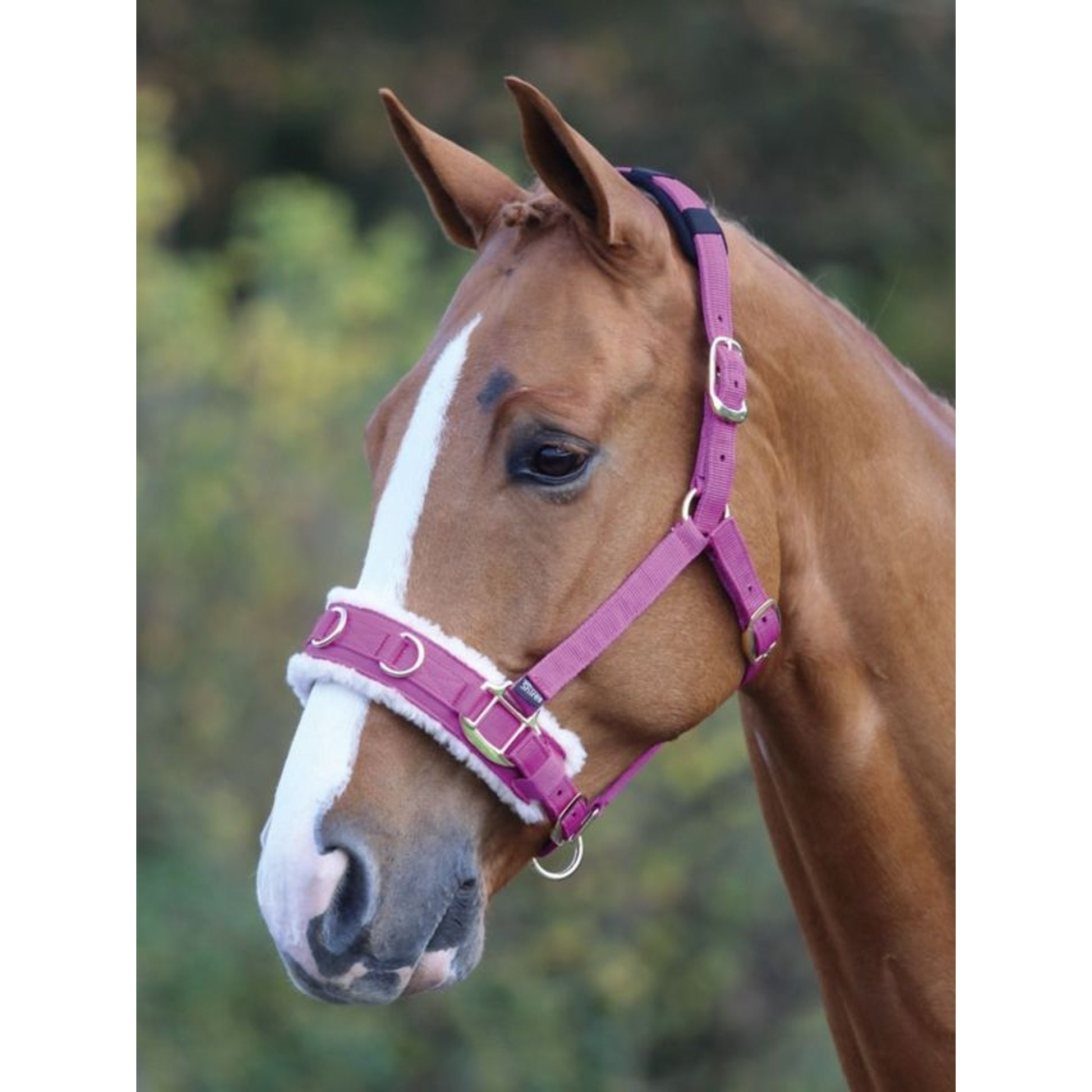 Shires Fleece Lined Lunge Cavesson