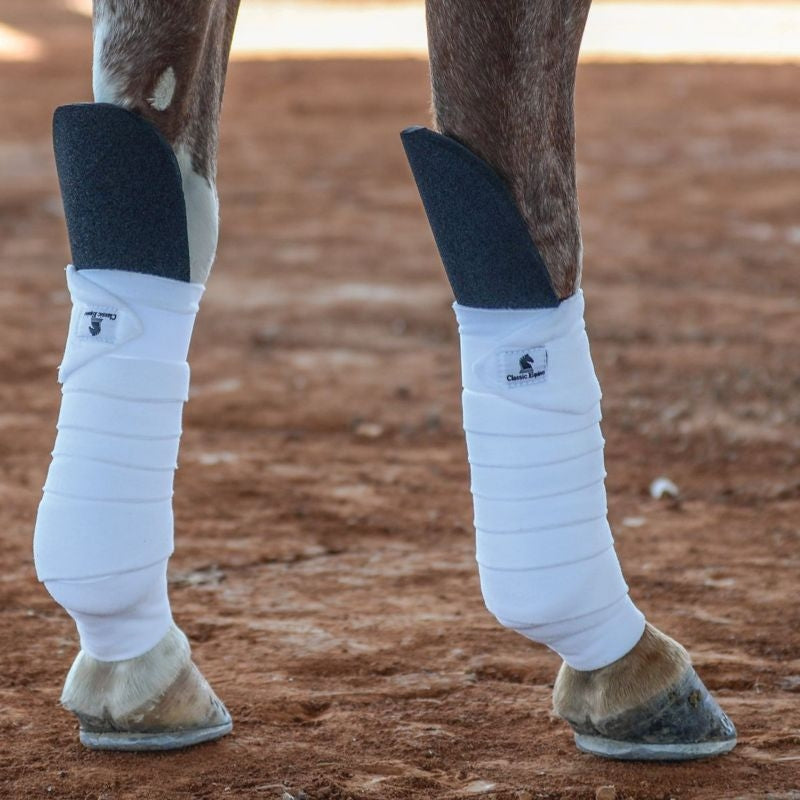 Classic Equine Knee Guard - PairBr