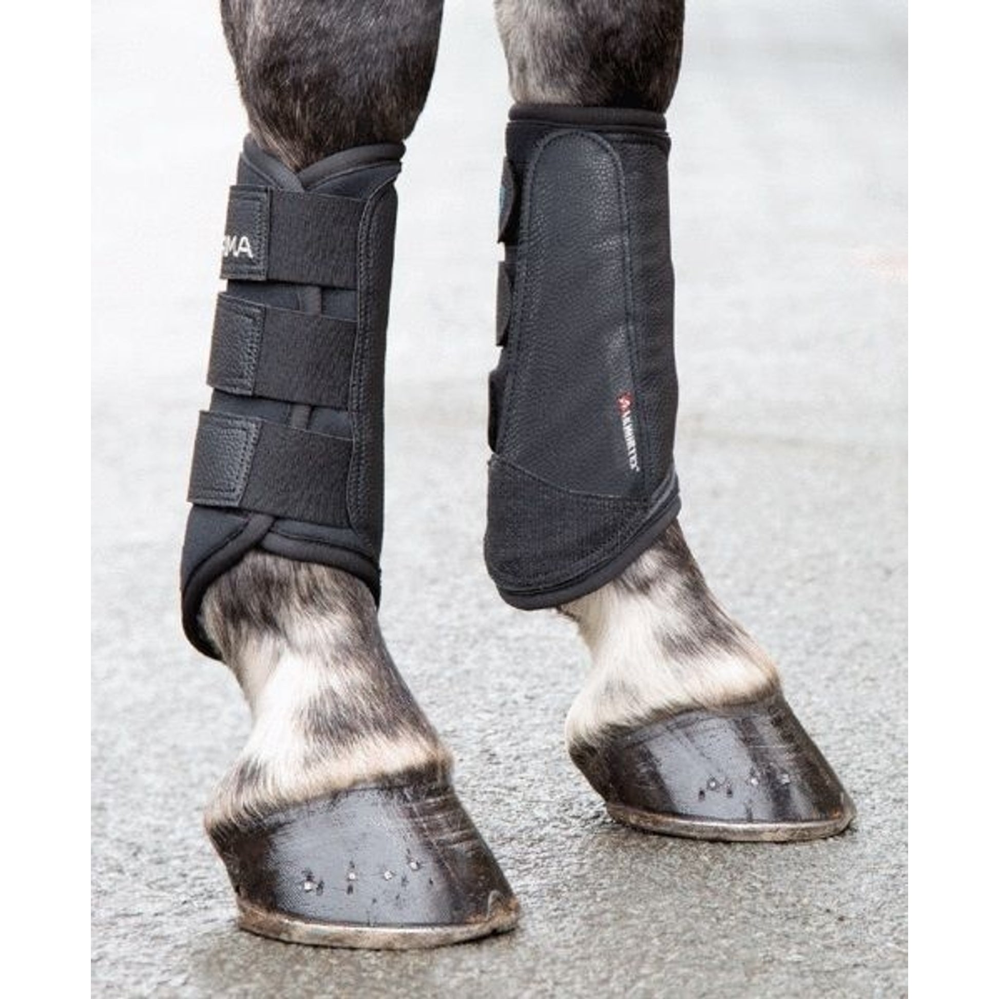 Shires Arma Brushing Boots Cob Brn