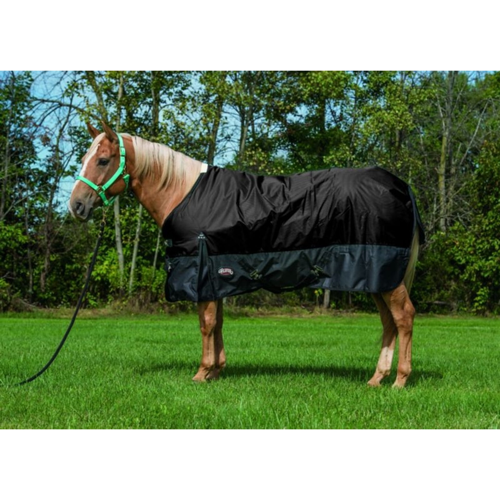 Weaver Economy 600 D Turnout - 180 gm 69 Black