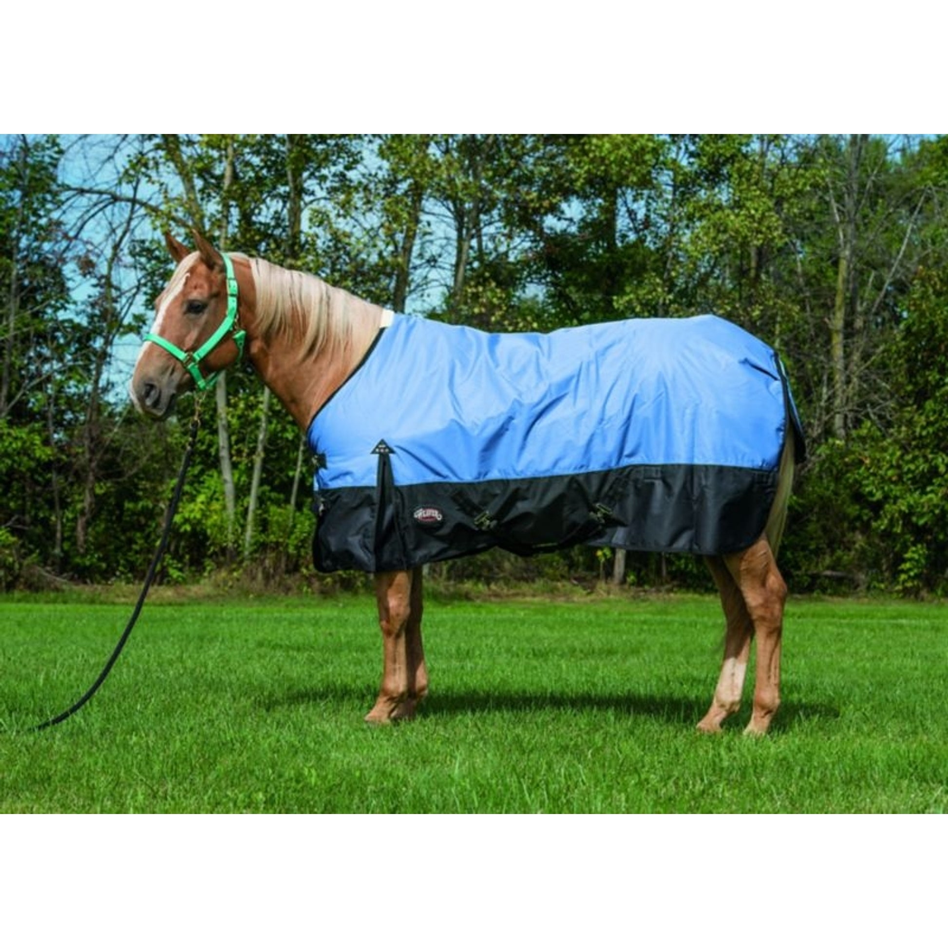 Weaver Economy 600 D Turnout - 180 gm 69 Black