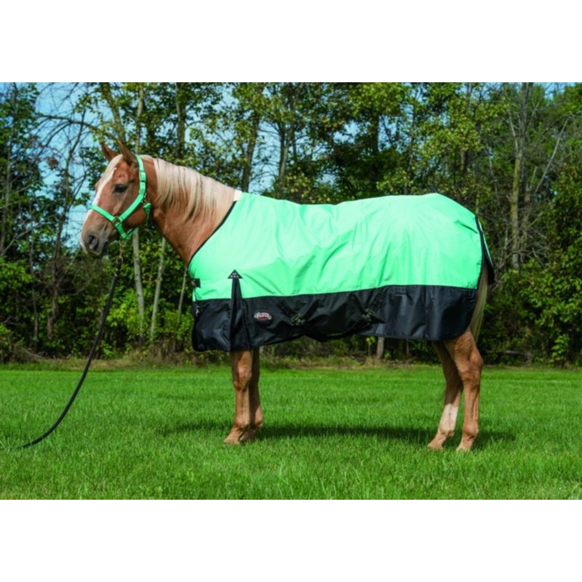 Weaver Economy 600 D Turnout - 180 gm 69 Black