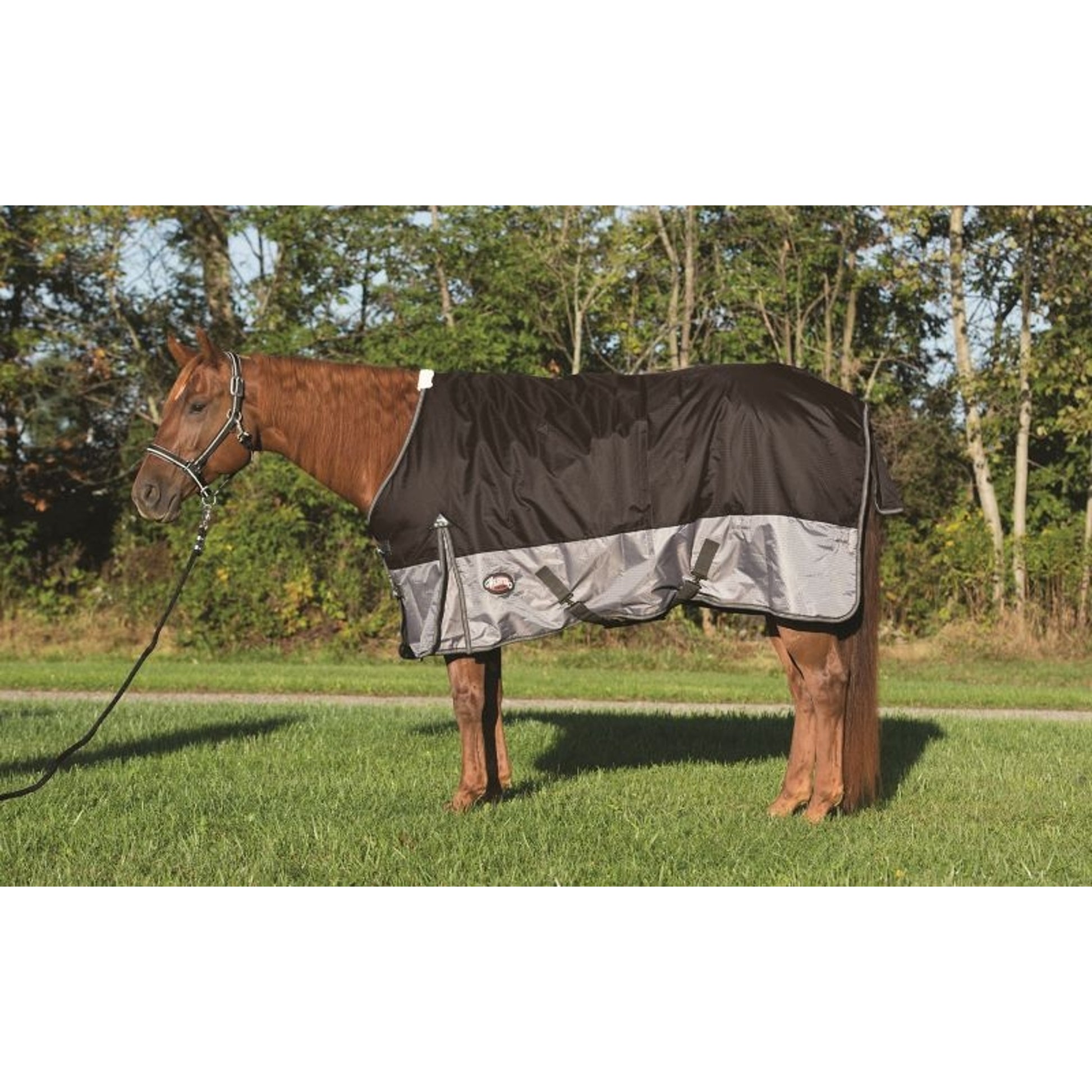 Weaver Premium 600 D Rainsheet with Mesh