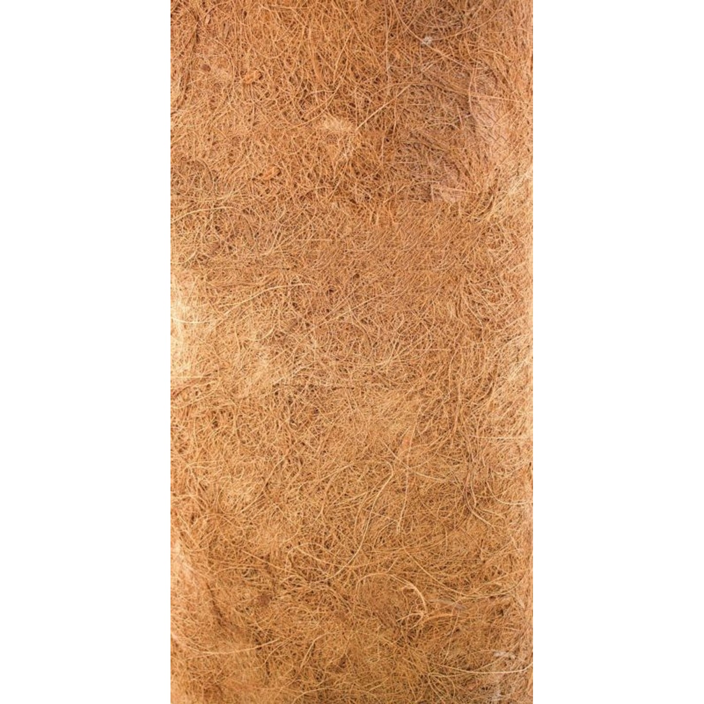TH1485091.jpg