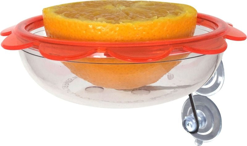 Bos Marmalade Window Oriole Feeder 5 Clear/Orange