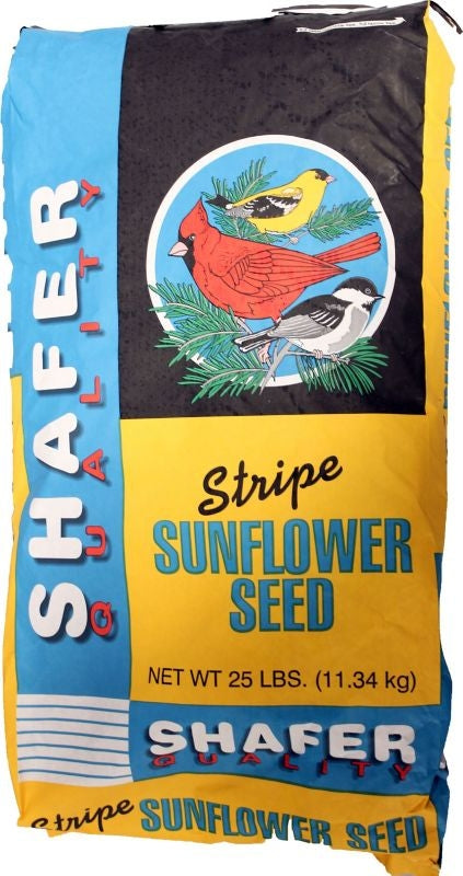 Sunflower Seed-Striped 25lb