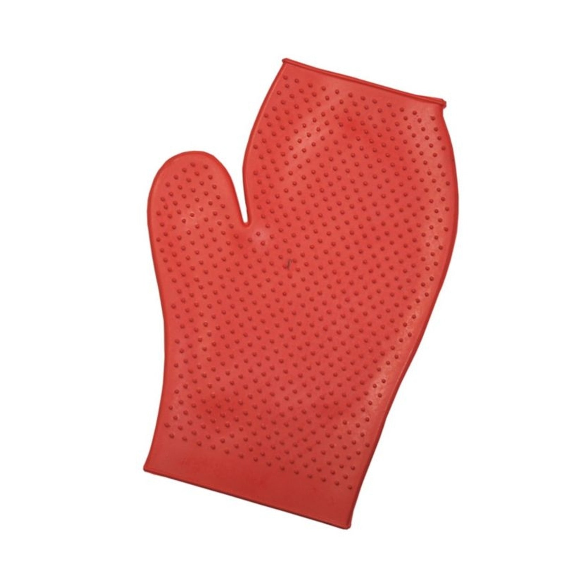 Large Rubber Grooming Mitt Large Green
