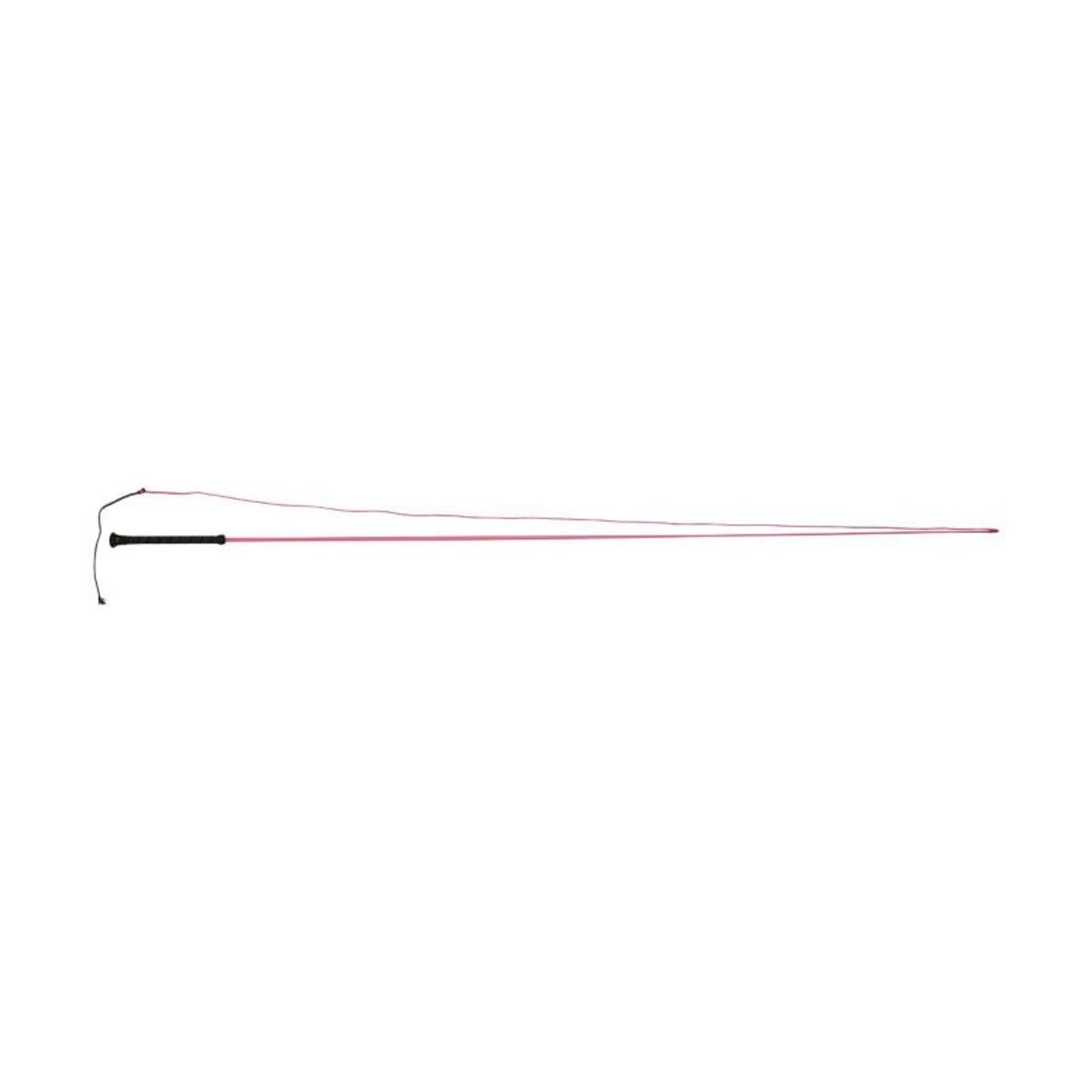 Dublin Brights Lunge Whip