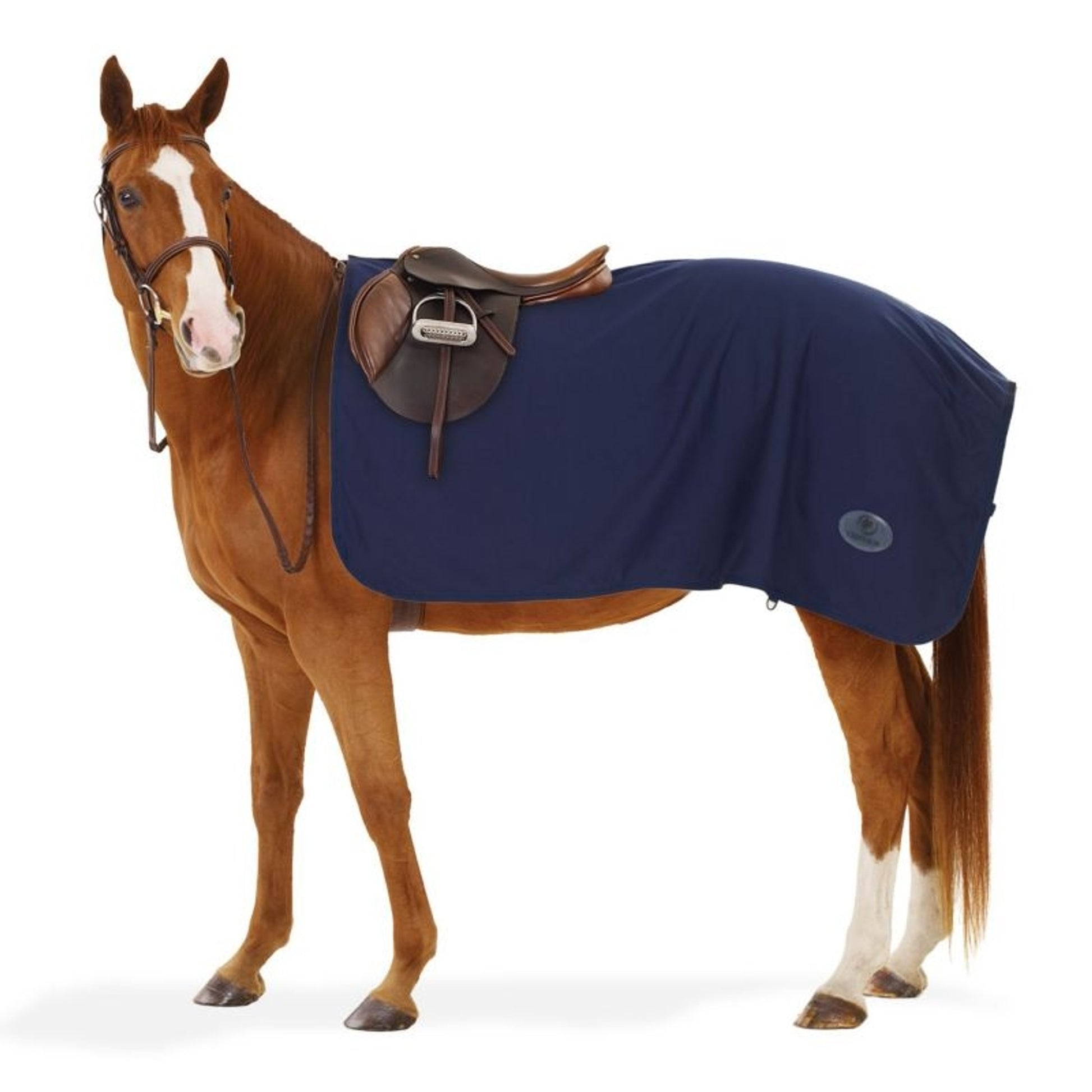 Centaur Turbo Dry Exercise Sheet