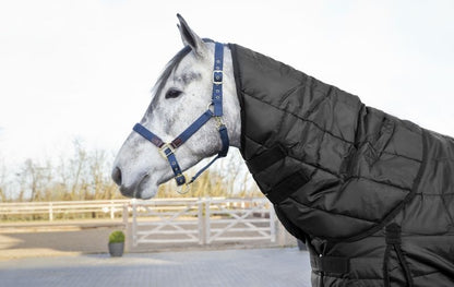 HorZe Nevada 200g Stable Hood Medium Black