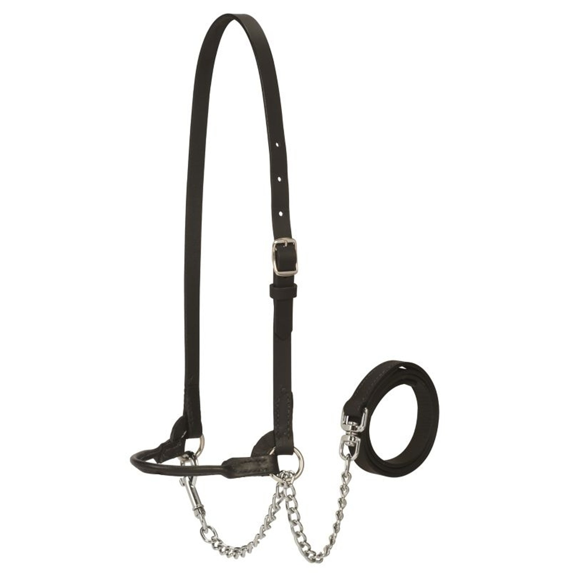 Weaver Dairy Halter