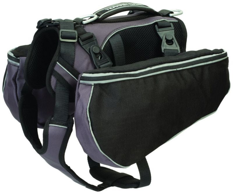 Dog Outdoor Gear