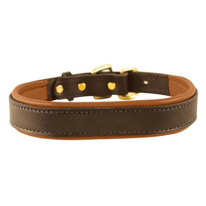 Perris Padded Leather Dog Collar