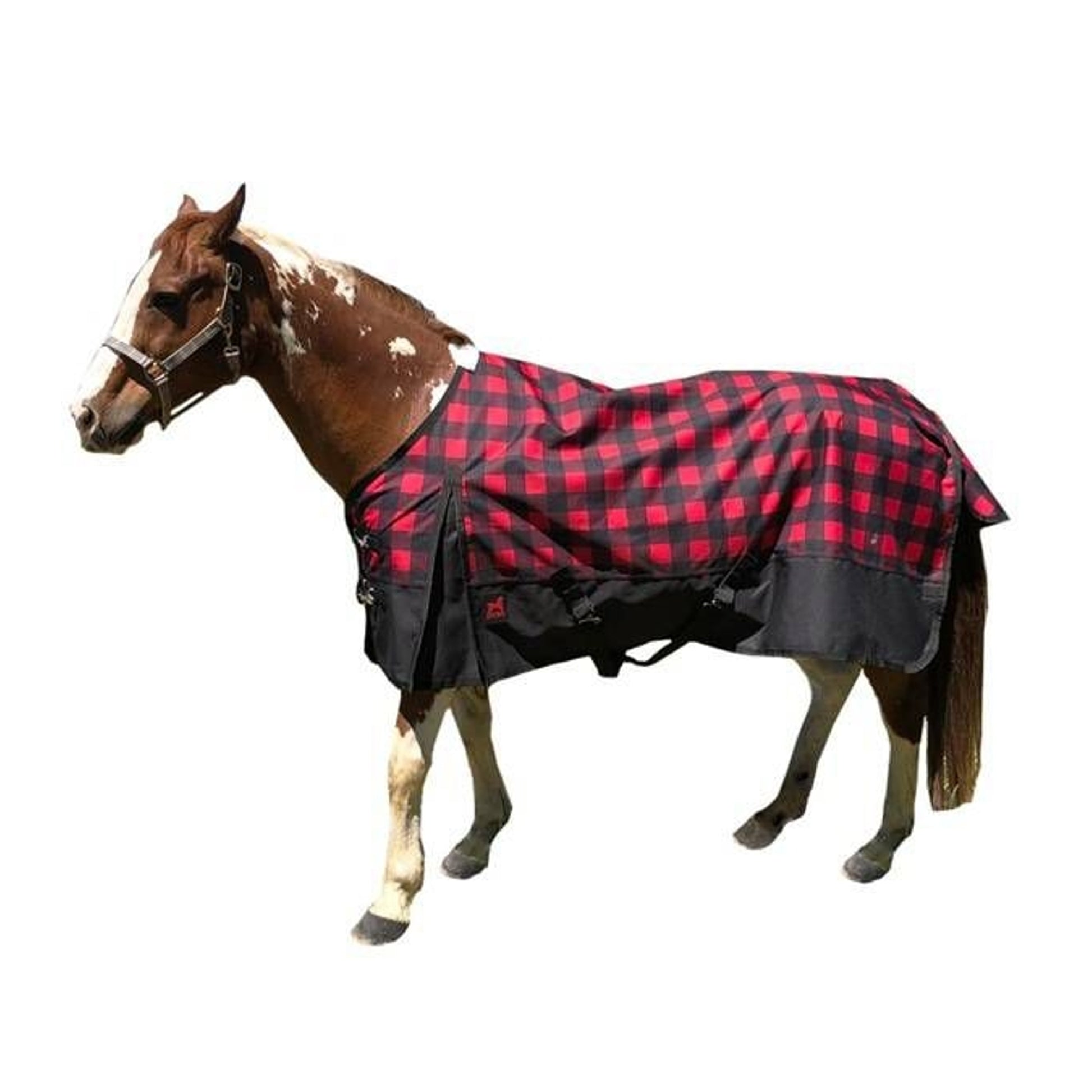 Jacks Kratos 1200D Turnout Blanket with 260GM Lini