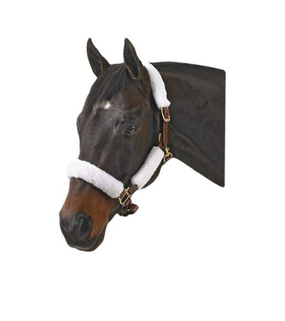 Jacks Halter Kit Set of 4 Black
