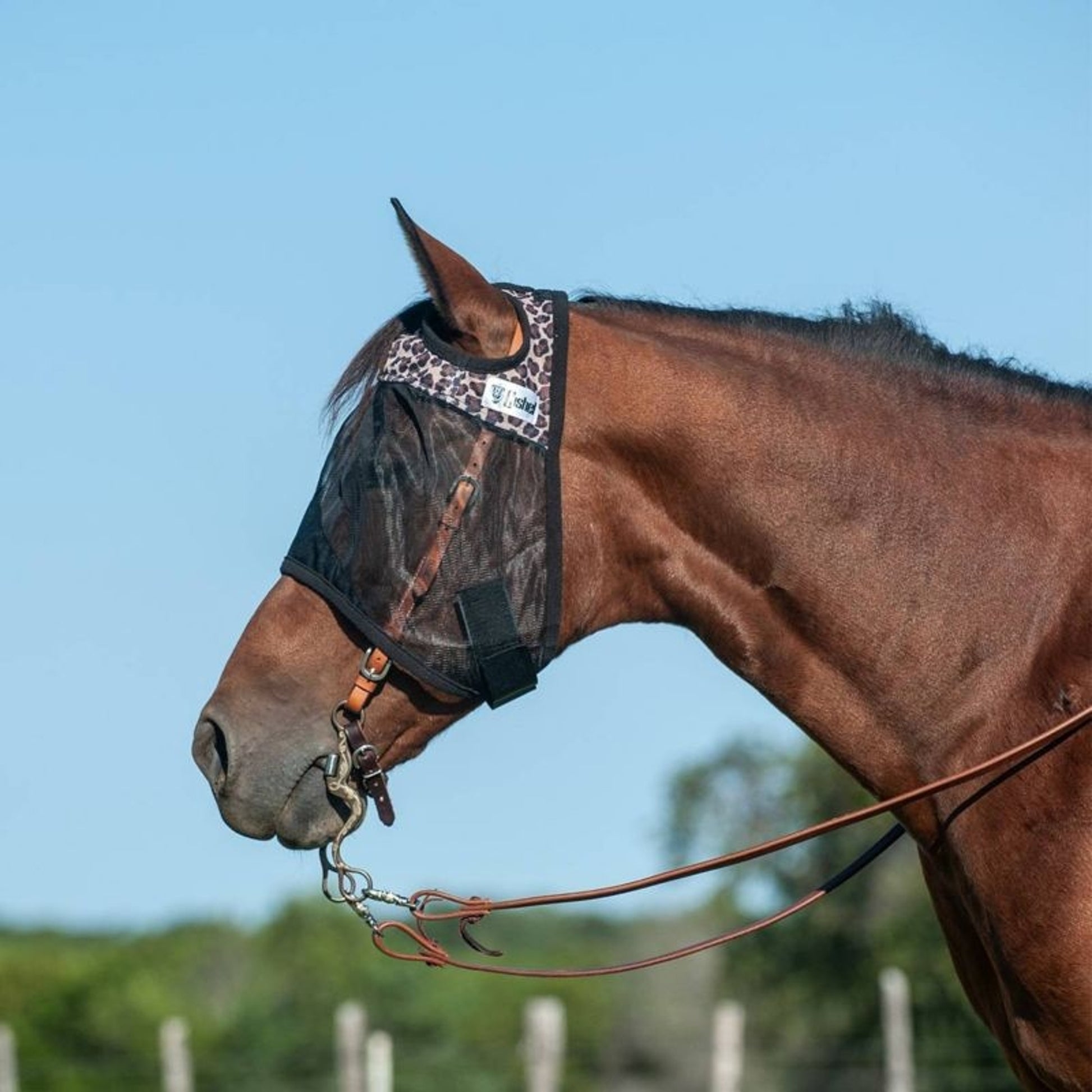 Cashel Quiet Ride Fly Mask - Standard Arabian/Smal