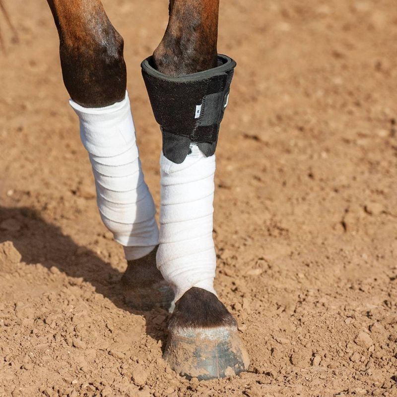 Classic Equine Knee Boot 2 Black