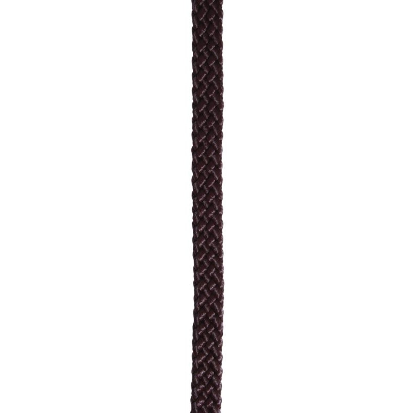 TH1691910_P.jpg