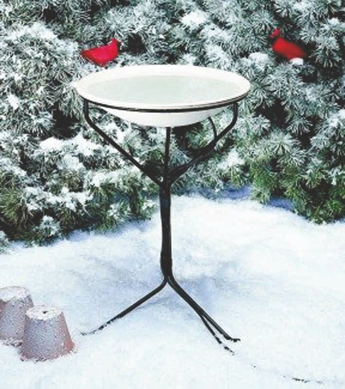 Bird Baths