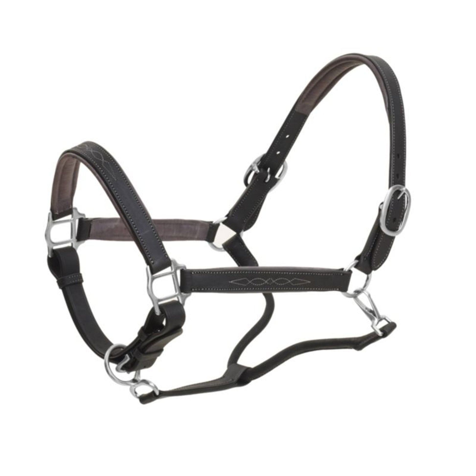 Ovation Richtan Luxury Padded Halter Horse Black/B