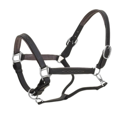 Ovation Richtan Luxury Padded Halter Horse Black/B