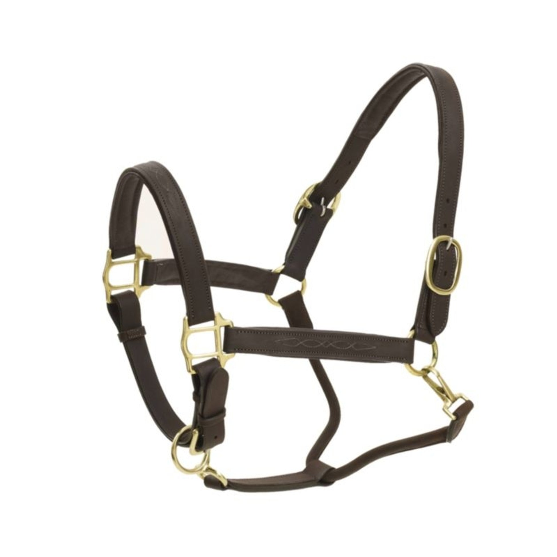 Ovation Richtan Luxury Padded Halter Horse Black/B