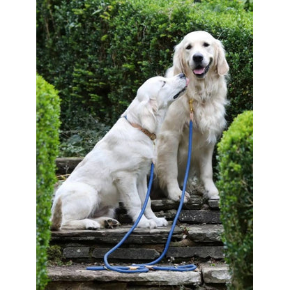 Shires Digby Fox Reflective Dog Lead