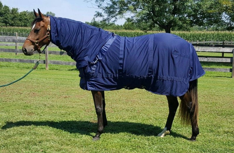 Back on Track Mesh Sheet with Neck Cover
