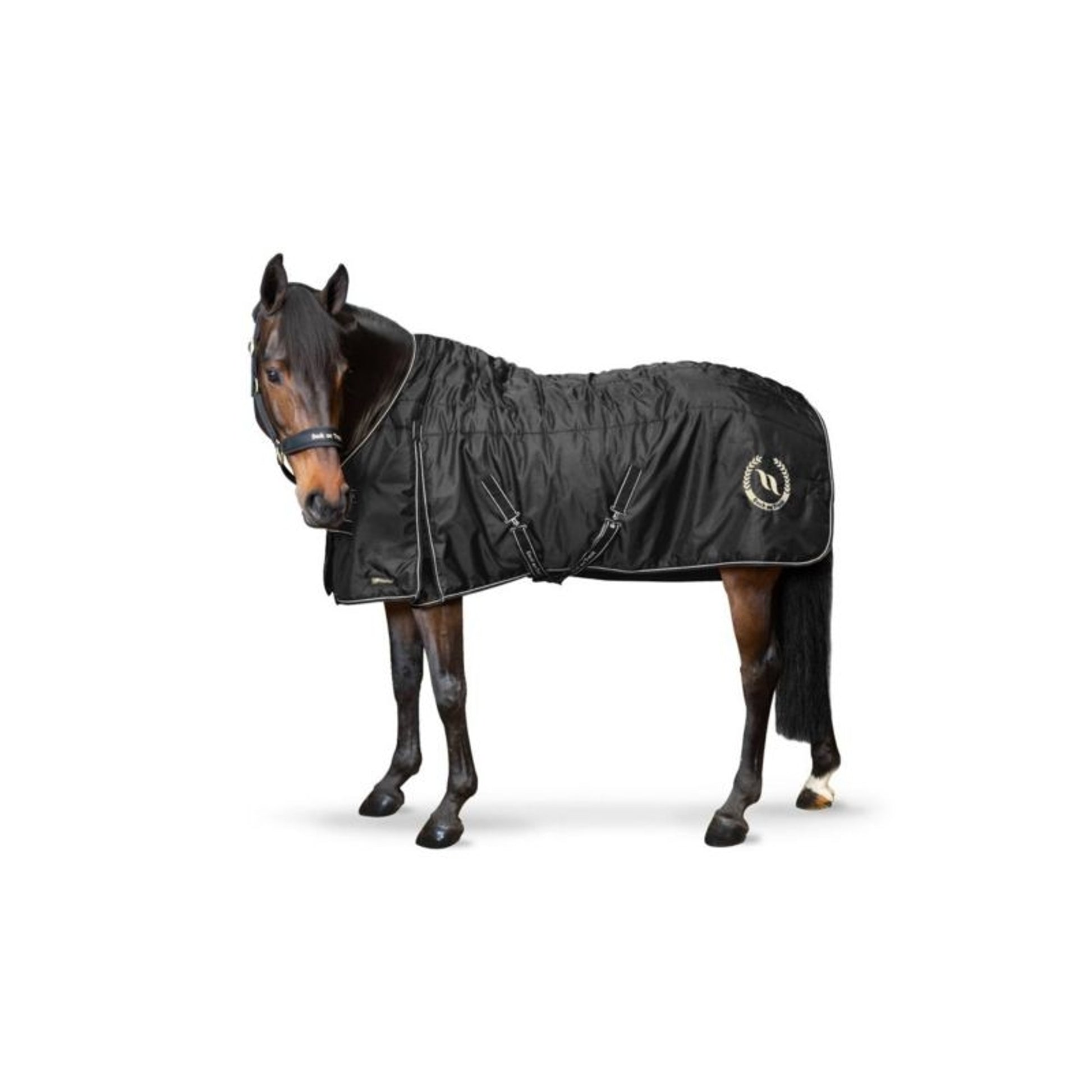 Back on Track Millie Stable Blanket