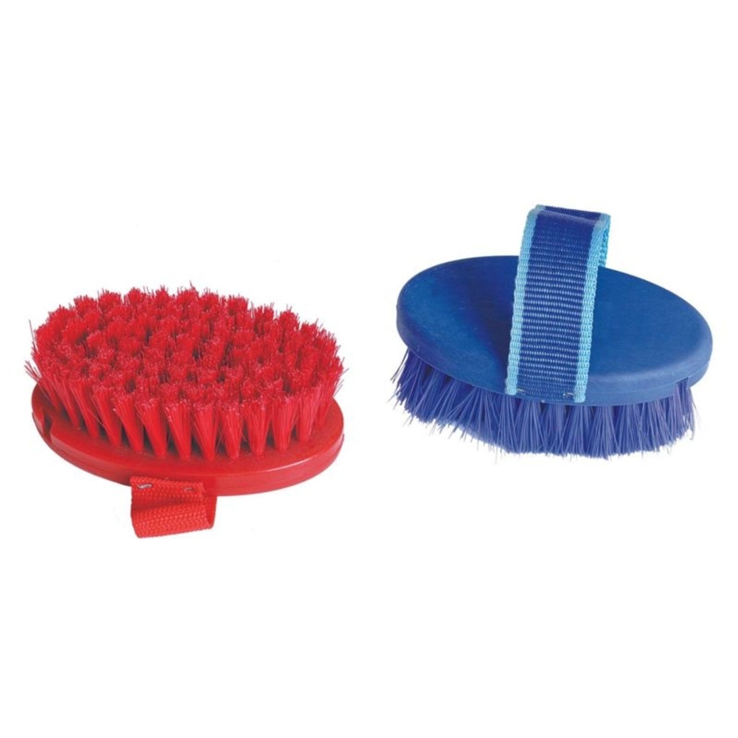 TH1739931.jpg