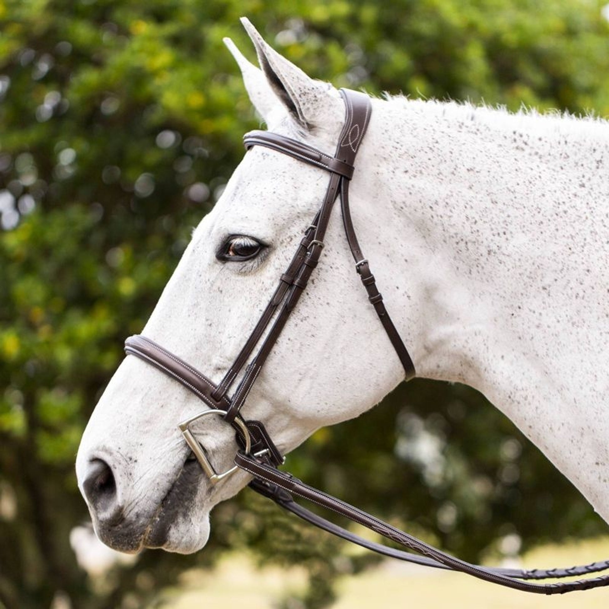 Equinavia Valkyrie Fancy Stitched Hunter Bridle &