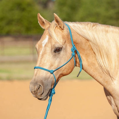 Classic Equine Econo Rope Halter and 8-foot Leadro