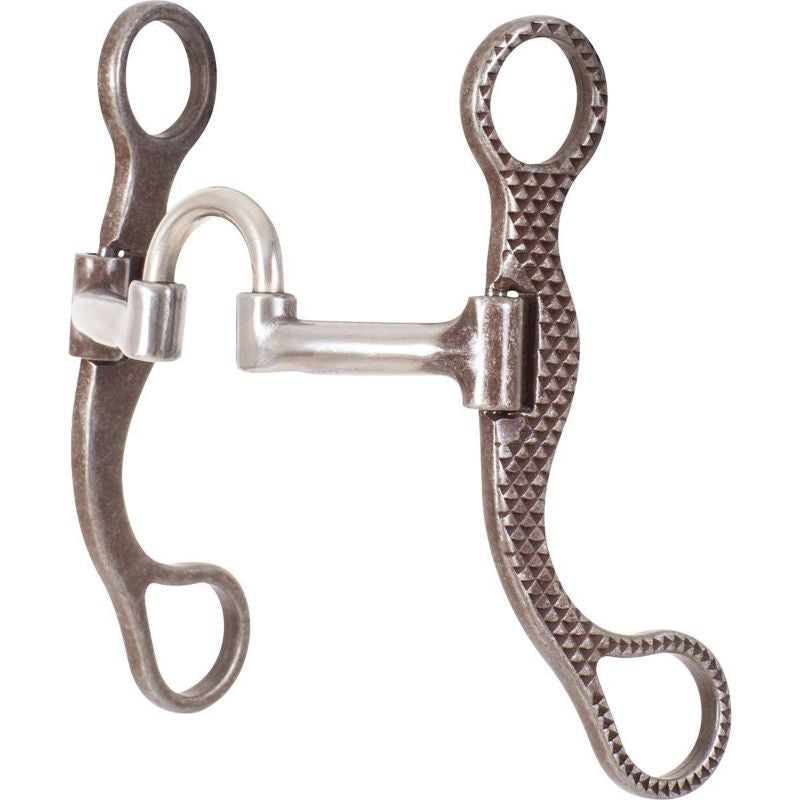 Classic Equine Rasp Straight Shank Bit with Short Cor