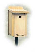 Bird Houses