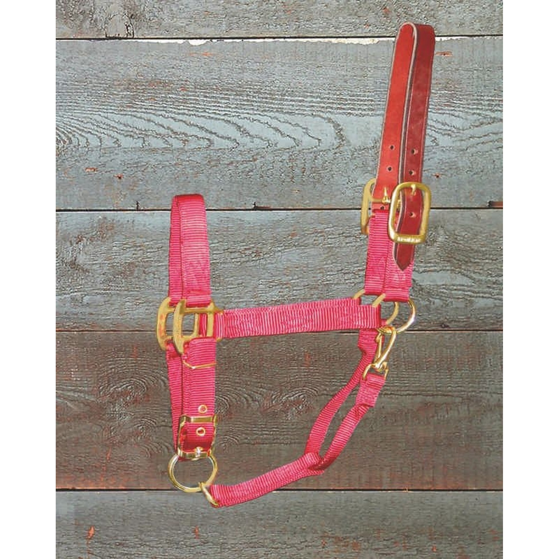 Adjustable Halter with Leather Crown Yearling Blk