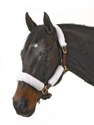 Centaur Fleece Halter Tube Kit W-VelcroBrn