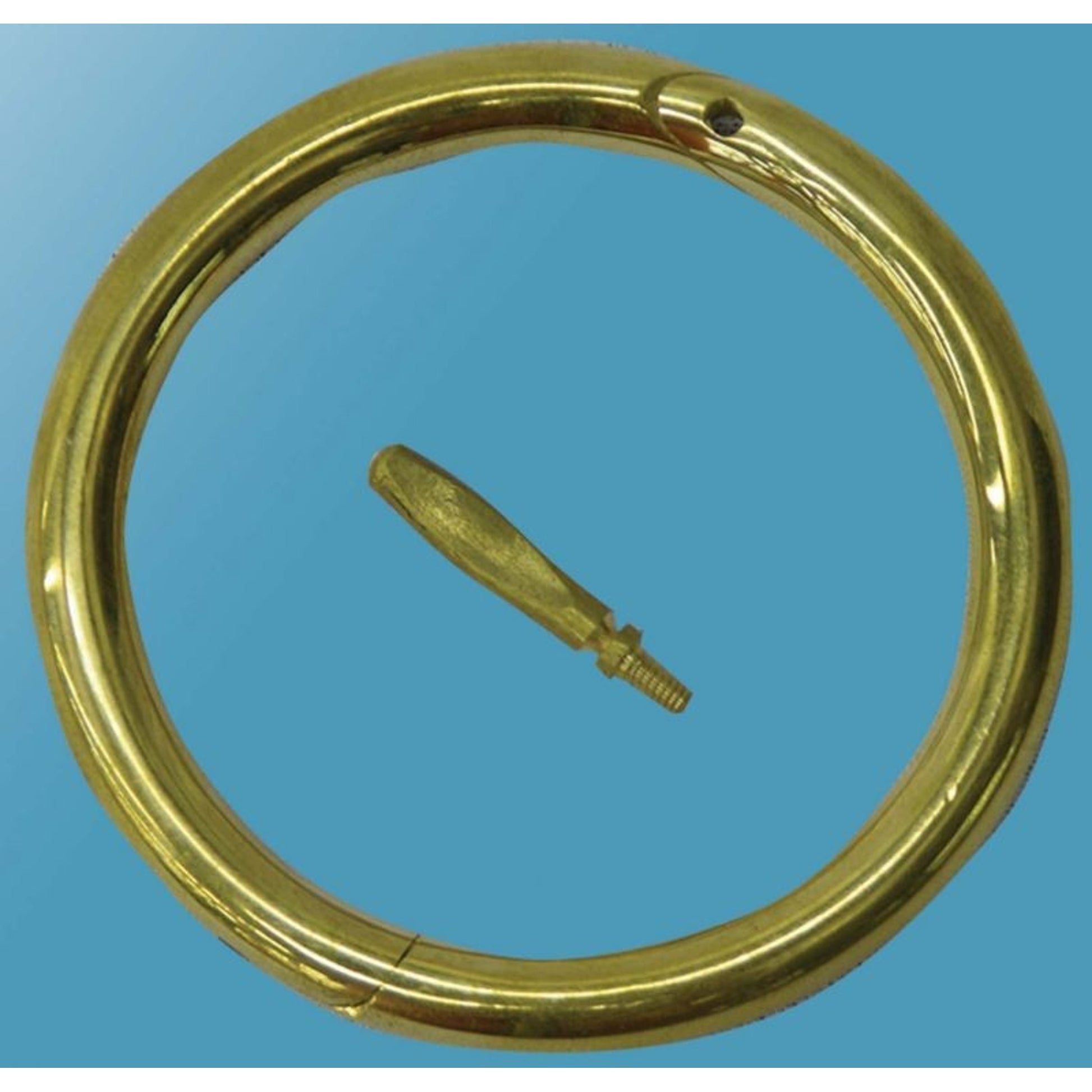 Bull Ring 3 Inch