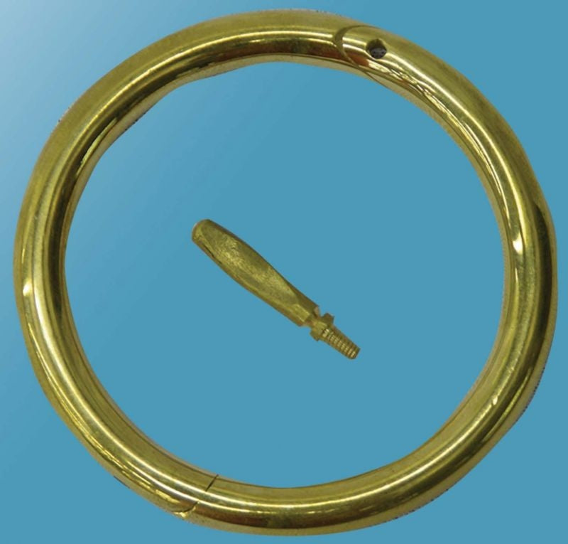 Bull Ring 3 Inch